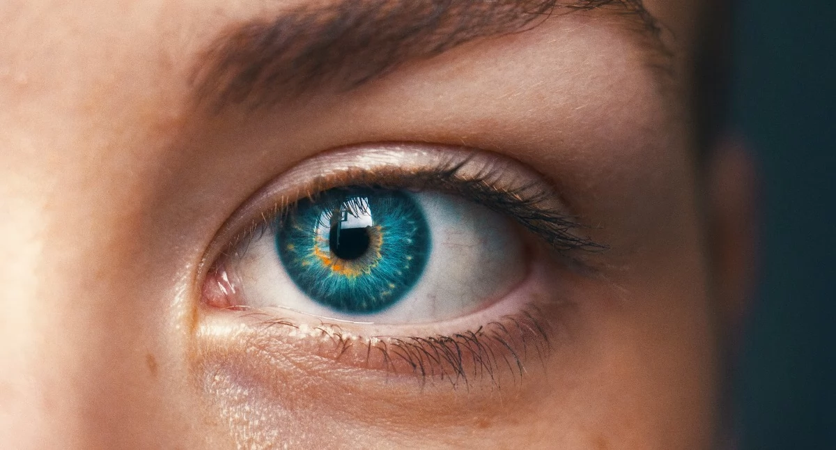 fot. Pexels.com