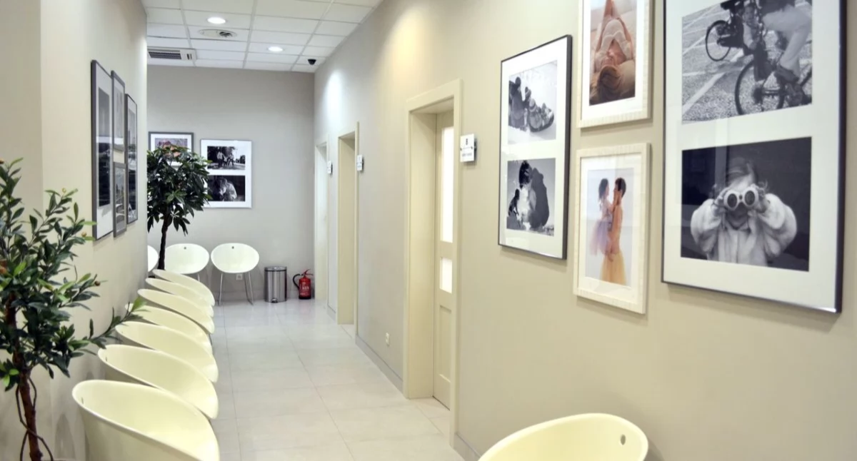 Babka Medica. Foto. Materiały prasowe