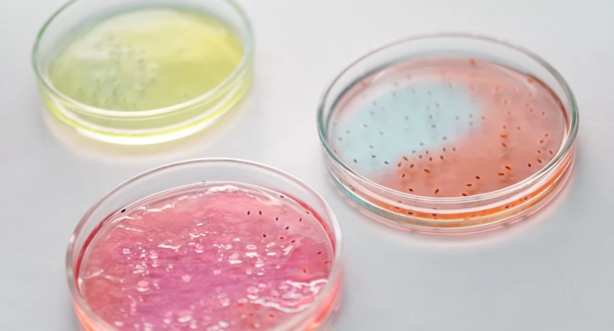 Antybiotykooporność w Polsce