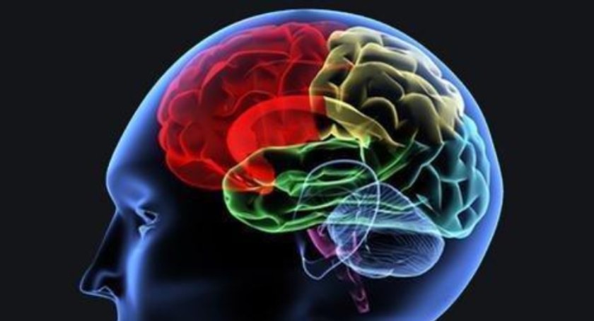 neurologia