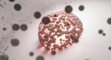 Polski wynalazek może zmienić leczenie chorób autoimmunologicznych