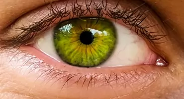 GIF wstrzymuje krople do oczu na jaskrę. Wszystkie serie leku zostały wycofane z obrotu
