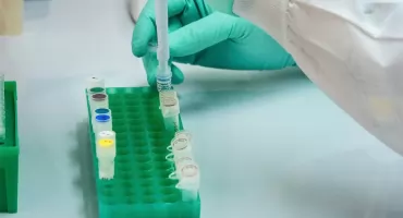 Nowa Akademicka Sieć ATMP w Polsce. Wrocław centrum produkcji żywych leków i terapii komórkowych