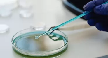 Jest nowa potencjalna terapia genowa dystrofii mięśniowej Duchennea